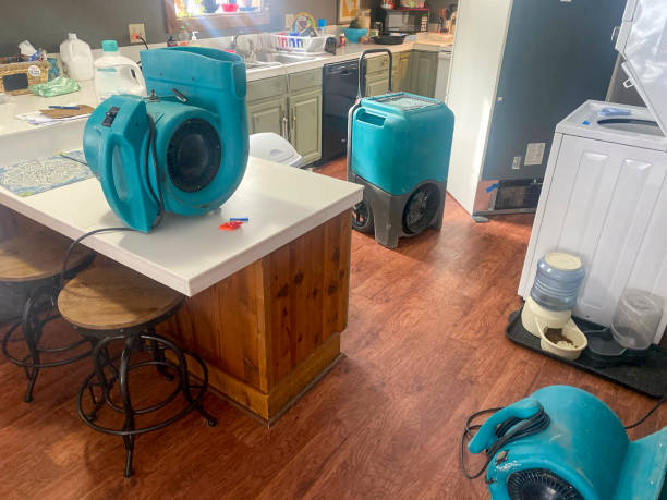 Best Water damage cleanup near me  in Roslyn Heights, NY