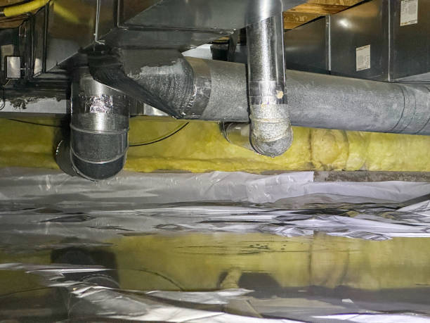 Best 24-hour water damage restoration  in Roslyn Heights, NY