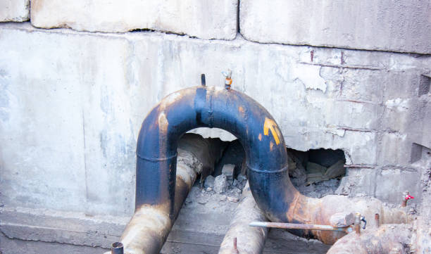 Best Water damage cleanup near me  in Roslyn Heights, NY