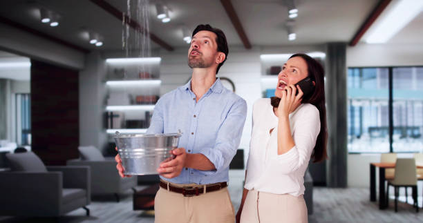 Best Flooded house restoration  in Roslyn Heights, NY